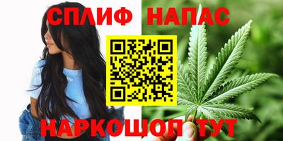 прущие грибы Каменск-Шахтинский